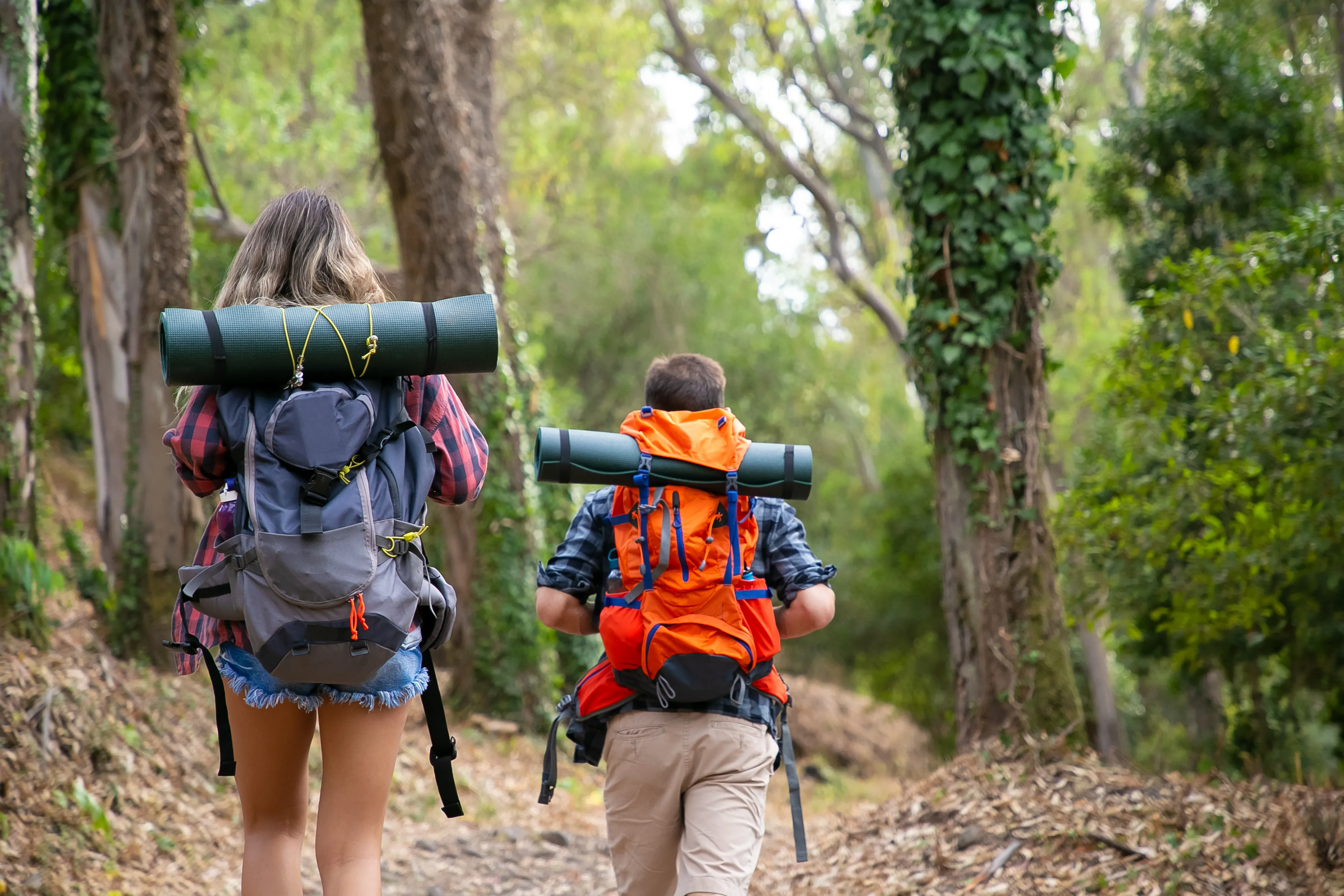 Top 5 Day Hikes Near Calgary for Adrenaline Junkies