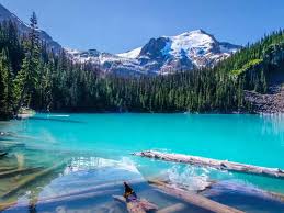 Adventure Travel in Calgary: Gateway to the Rockies